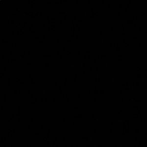 Meet your Posher, Jeffrey